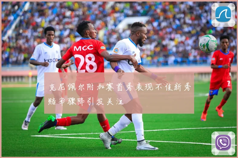 克尼佩尔附加赛首秀表现不佳新秀赔率骤降引发关注