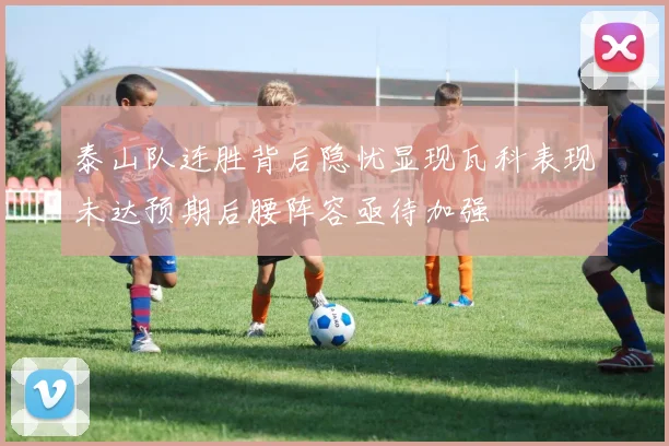 泰山队连胜背后隐忧显现瓦科表现未达预期后腰阵容亟待加强